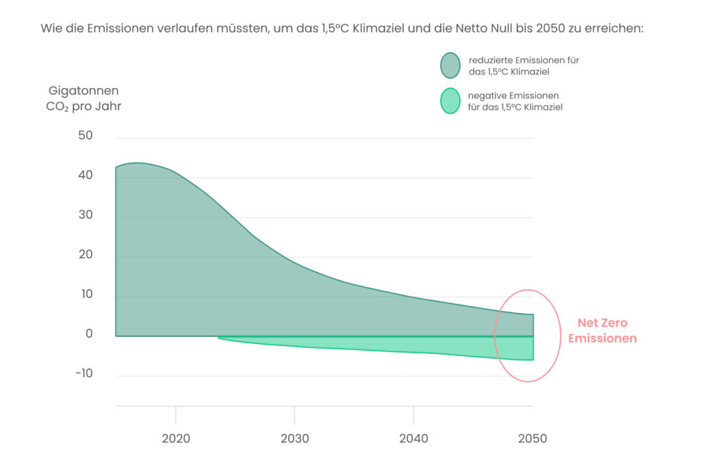 Net Zero: So helfen negative Emissionen gegen den Klimawandel